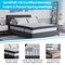 Merrick Lane Hulen 12 Inch Hybrid Pocket Spring & CertiPUR-US Certified Memory Foam Mattress